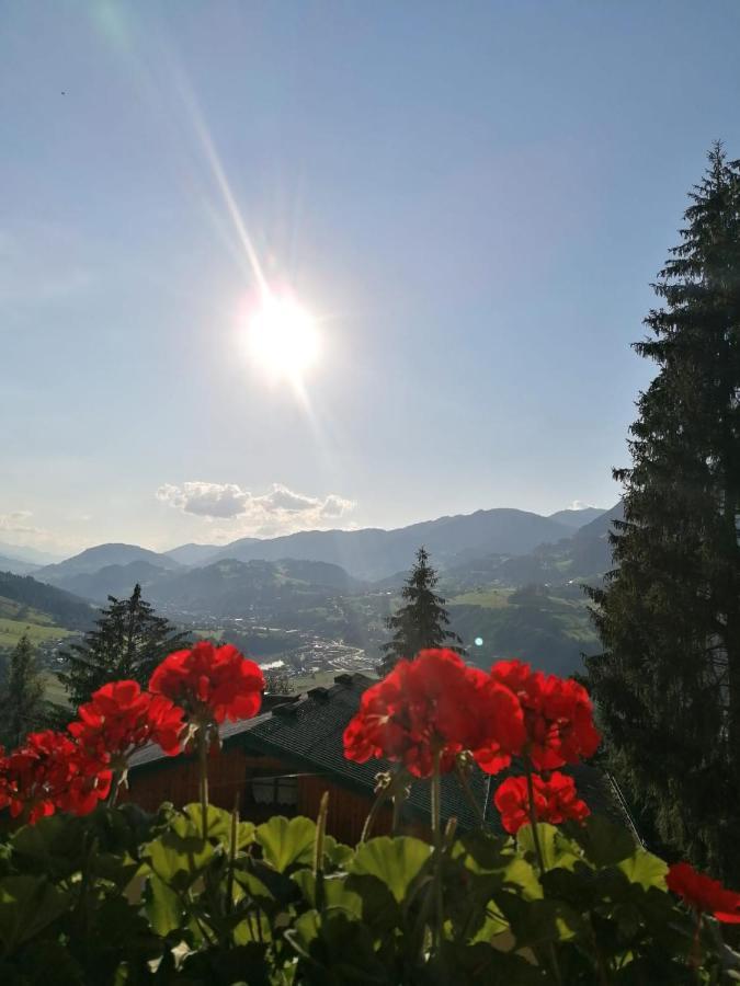 Ferienhaus Deutschmann Sankt Johann im Pongau Ngoại thất bức ảnh